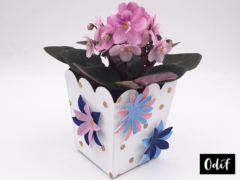 Conclusion : gesso planter