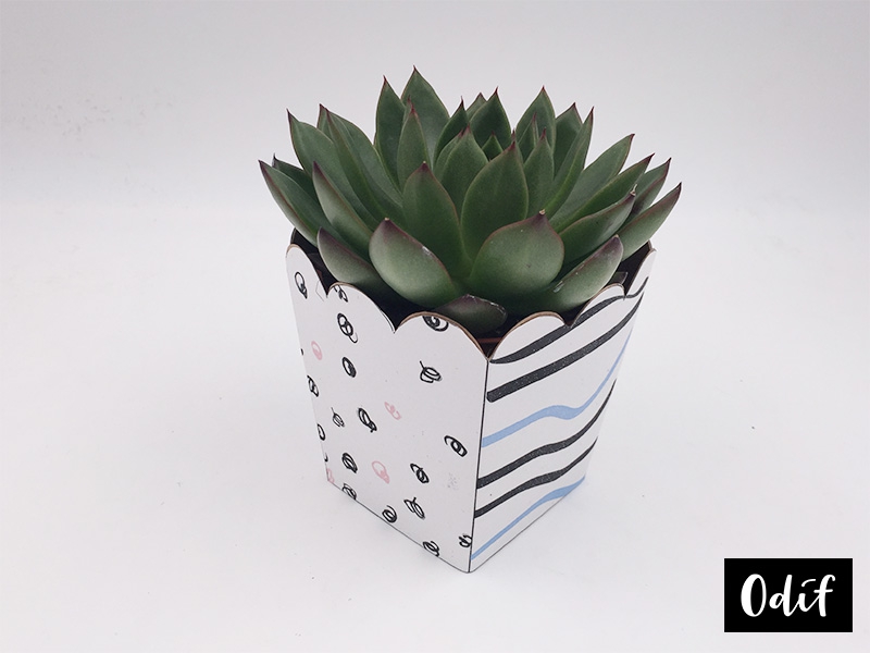 Conclusion : paper planter