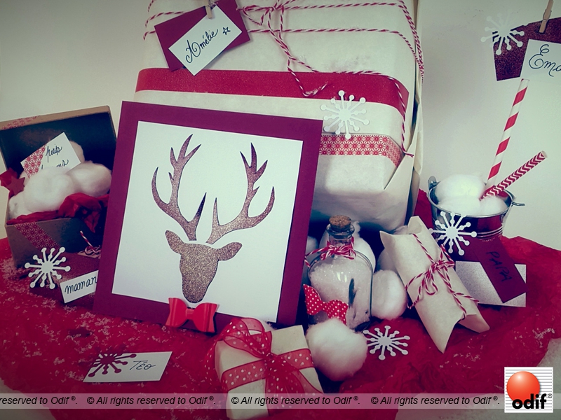 Photo : DIY - Christmas Glitter Card