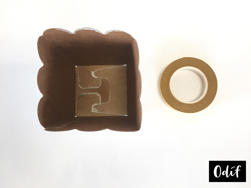 Step 5 : gesso planter