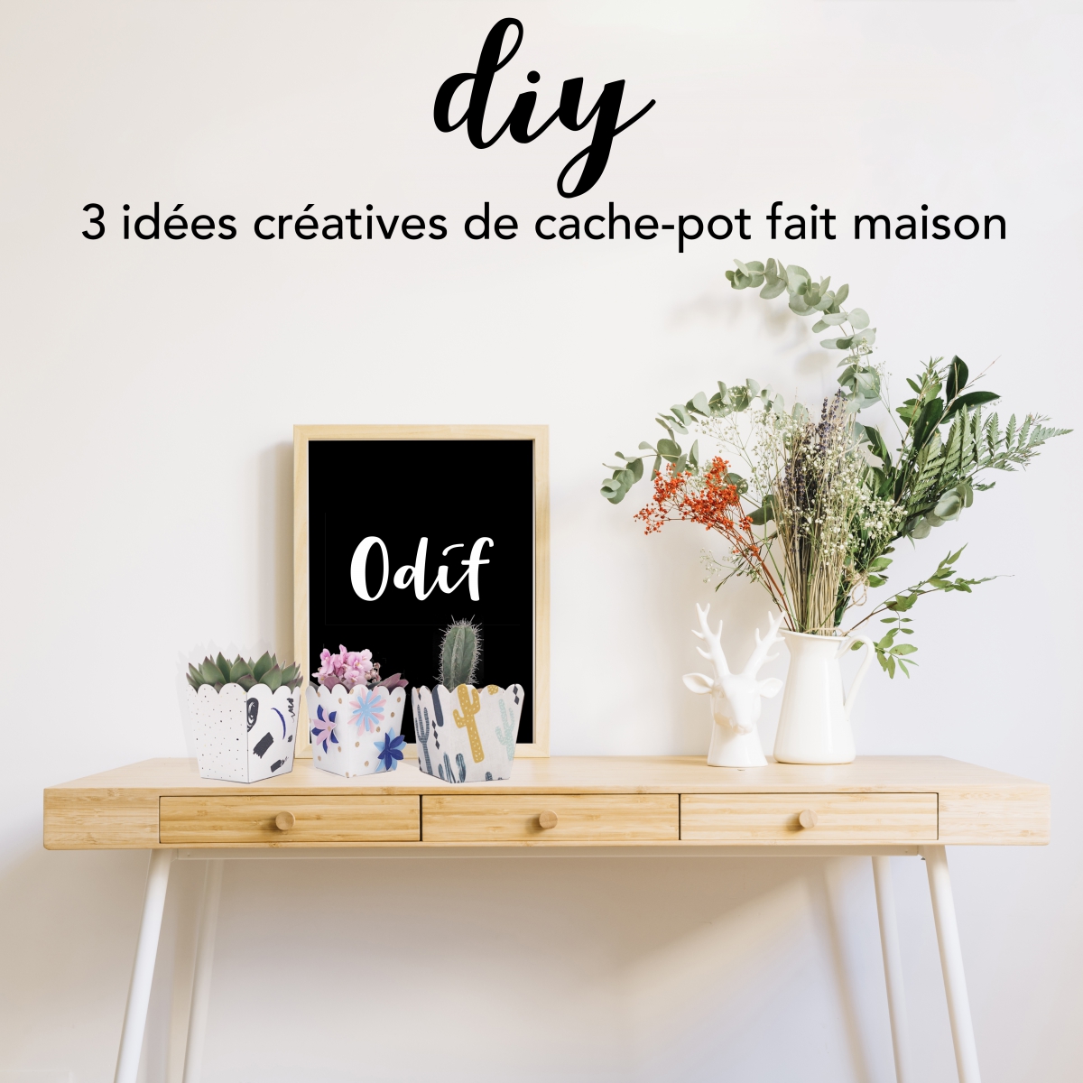 Photo : DIY - 3 creative planters ideas